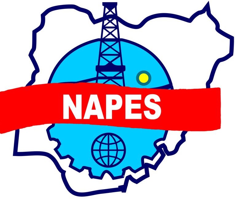 Napes Logo